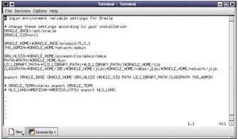 Oracle 9i 数据库管理实务讲座（一） 数据库管理基础篇