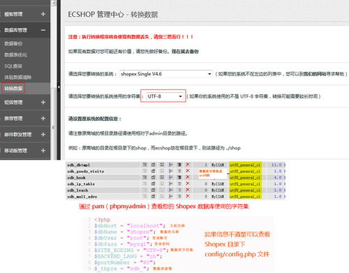 数据库管理与数据转换 现代数据架构的核心支柱